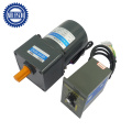 120V 40W Small AC Gear Motors with Speed Controller